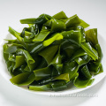 Nodo di kelp salato verdure essiccate